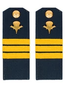 Погоны ВДВ с фурнитурой синие с желтым галуном Сержант Пластиковые