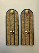 Погоны ФССП парадные золотые с фурнитурой звание Майор Картон