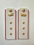 Погоны МО Танковые войска белые звание Старший Прапорщик Картон