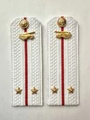 Погоны МО Танковые войска белые звание Лейтенант Картон