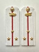Погоны МО Танковые войска белые звание Старший Лейтенант Картон