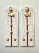 Погоны МО Танковые войска белые звание Капитан Картон