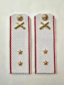 Погоны МО РВиА белые звание Прапорщик Картон