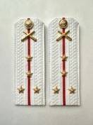 Погоны МО РВиА белые звание Капитан Картон