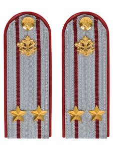 Погоны ФСИН на рубашку ПЛАСТИК, звание Подполковник цвет серый 14х5 см