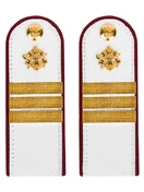 Погоны ФСИН на рубашку Сержант цвет белый 14х5 см