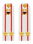 Погоны МВД внутренняя служба на рубашку белые ПЛАСТИК Звание Подполковник 13,5см