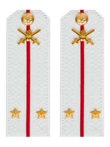 Погоны МО Сухопутные войска белые звание Лейтенант Картон