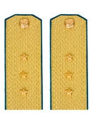 Погоны ВДВ, ВКС, ВВС парадные золотые с фурнитурой на Китель звание Старший Прапорщик Картон