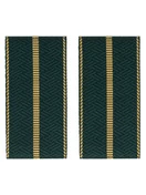 Фальш погоны Таможенной службы с 1 просветом цвет темно-зеленый