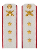 Погоны МО Сухопутные войска белые звание Старший Прапорщик Картон