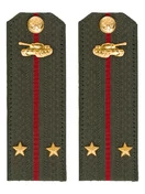 Погоны МО Танковые войска зеленые звание Лейтенант Картон