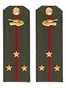 Погоны МО Танковые войска зеленые звание Старший Лейтенант Картон