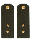 Погоны МО общевойсковые на китель зеленые звание Прапорщик Картон