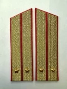 Погоны Общевойсковые парадные Лейтенант Скос картон цвет золотой