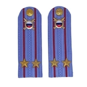 Погоны МВД внутренняя служба на рубашку голубые ПЛАСТИК Звание Подполковник