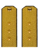 Погоны парадные ВМФ Старший Мичман цвет золотой