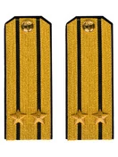 Погоны парадные ВМФ Капитан 2 ранга цвет золотой