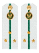 Погоны Пограничной службы ПС ФСБ в сборе КАРТОН белые звание Старший Лейтенант 14х5см