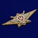 Знак Росгвардии "Классная квалификация" (Мастер) для военнослужащих, проходящих военную службу по контракту 2493