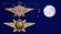 Знак Росгвардии "Классная квалификация" (специалист 2-го класса) для военнослужащих, проходящих военную службу по контракту №2495