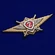 Знак Росгвардии "Классная квалификация" (специалист 2-го класса) для военнослужащих, проходящих военную службу по контракту №2495
