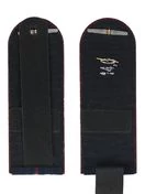 Погоны ФСИН на куртку картон в сборе звание Младший лейтенант 13см