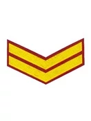 Шеврон (курсовка) 2 курс, пластизоль, красно-желтая