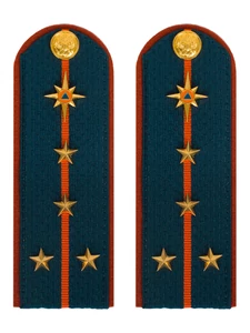 Погоны МЧС на куртку картон (в сборе) укомплектованные с фурнитурой звание Капитан 14х5 см