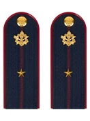 Погоны ФСИН на куртку ПЛАСТИК, звание Младший лейтенант 14х5,5см