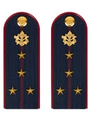 Погоны ФСИН на куртку ПЛАСТИК, звание Капитан 14х5,5см