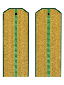 Погоны ПС ФСБ парадные золотые один просвет Кляммеры в комплекте Картон 14х5,5см