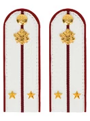 Погоны ФСИН на рубашку ПЛАСТИК, звание Лейтенант Цвет Белый14х5,5см