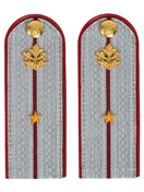 Погоны ФСИН на рубашку ПЛАСТИК, звание Младший лейтенант цвет серый 14х5,5см