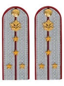 Погоны ФСИН на рубашку ПЛАСТИК, звание Капитан цвет серый 14х5 см