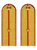 Погоны МВД парадные звание Младший Лейтенант цвет золотой