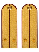 Погоны ФСИН парадные Лейтенант картон цвет золотой