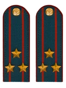 Погоны МЧС на Китель картон звание Полковник 14см