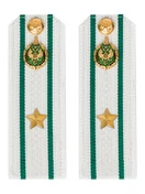 Погоны Пограничной службы ПС ФСБ в сборе КАРТОН белые звание Майор 14х5см