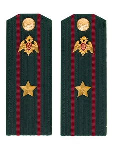 Погоны Росгвардии ФСВНГ на куртку 14х5 см ПЛАСТИК звание Майор