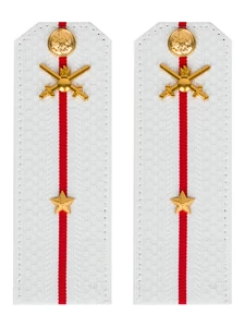 Погоны МО Сухопутные войска белые звание Младший лейтенант Картон
