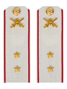 Погоны МО Сухопутные войска белые звание Прапорщик Картон