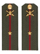 Погоны МО Сухопутные войска зеленые звание Младший лейтенант Картон