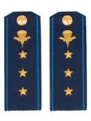 Погоны ВДВ с фурнитурой синие Старший прапорщик Пластиковые