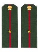 Погоны МО офисные зеленые звание Младший Лейтенант Пластик