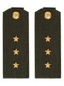 Погоны МО общевойсковые на китель зеленые звание Старший Прапорщик ПЛАСТИК