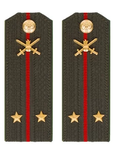 Погоны МО Сухопутные войска зеленые звание Лейтенант Пластик