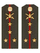 Погоны МО Сухопутные войска зеленые звание Капитан Пластик