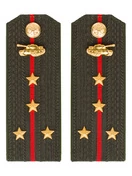 Погоны МО Танковые войска зеленые звание Капитан ПЛАСТИК