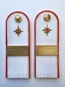 Погоны МЧС белые на рубашку Старший Сержант ПЛАСТИК